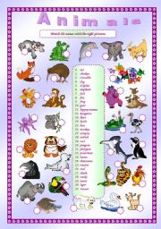 Animals - matching exercise (editable)