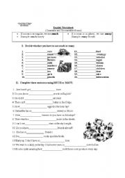 English Worksheet: Countable and Uncountable nouns