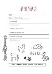 English worksheet: animals