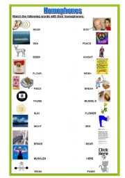 English Worksheet: homophones