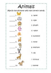 English Worksheet: animals matching