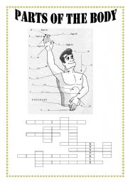 English Worksheet: Parts of the body