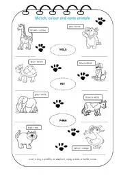 English Worksheet: Match, colour and name animals
