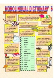 Monolingual Dicitionary 6 (3-page wks)