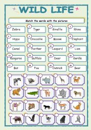 English Worksheet: WILD LIFE