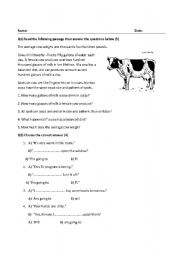 English worksheet: reading comprehension