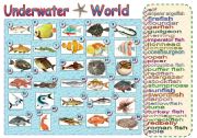 English Worksheet: Underwater World