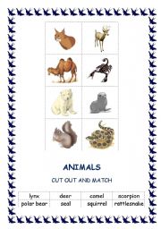 English worksheet: Animals