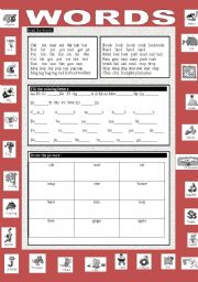 English Worksheet: WORDS 