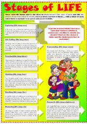 English Worksheet: STAGES OF LIFE (Part 2)