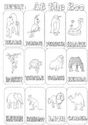 English Worksheet: AT THE ZOO