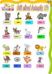 English Worksheet: All about animals 1