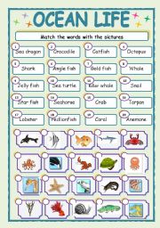 English Worksheet: OCEAN LIFE