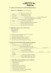 English Worksheet: Simple Past Mock Test
