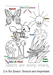 English Worksheet: I is for insect