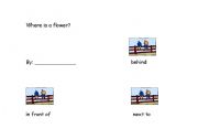 English worksheet: where is the flower?