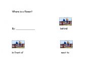 English Worksheet: where is the flower?