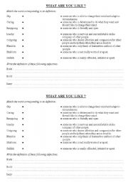English worksheet: What are you like