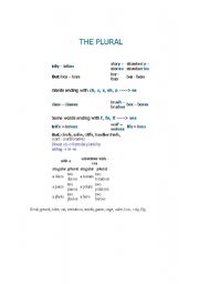 English Worksheet: The plural