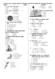 English Worksheet: an exam