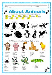 About Animals