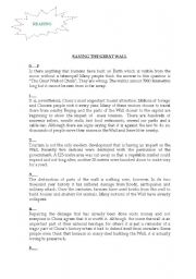 English Worksheet: READING  