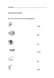 English worksheet: face