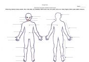 English worksheet: Body Labeling