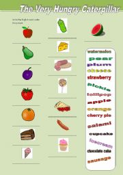 English worksheet: Vocabulary related to The Very Hungry Caterpillar