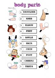 English Worksheet: Body parts