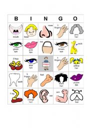 English Worksheet: bingo body parts