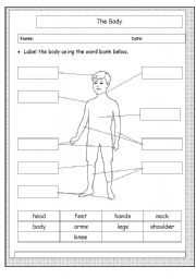 English Worksheet: Label parts of the body