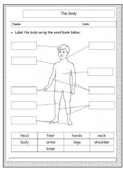 Label parts of the body