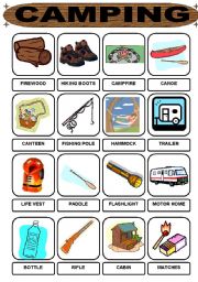 English Worksheet: Camping vocabulary