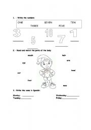 English Worksheet: body parts