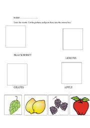 English Worksheet: cut and paste fruit