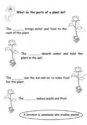 The parts of a plant