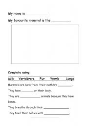 English Worksheet: My favourite mammal