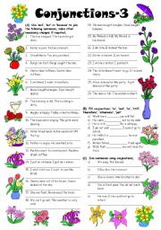 English Worksheet: Conjunctions-3 (Editable with Answers)