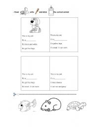 English worksheet: Animals descriptions