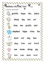 English Worksheet: Animals Picture Test