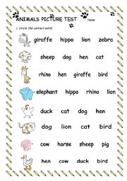 English Worksheet: Animals Picture Test