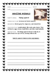 English worksheet: Amazing animals