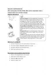 English Worksheet: reading comprehension