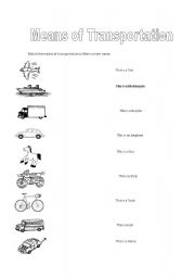 English worksheet: Means of Transportation