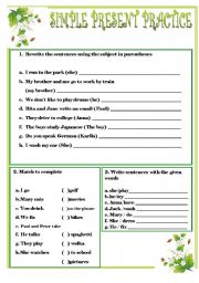 English Worksheet: simple present practice