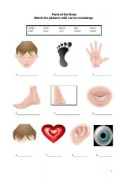 English Worksheet: Parts of the body