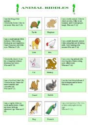 English Worksheet: Animal riddles
