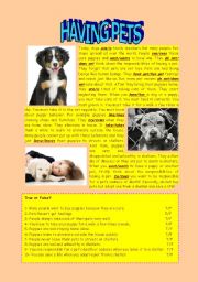 English Worksheet: Pets