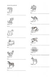 English worksheet: animal in singular form